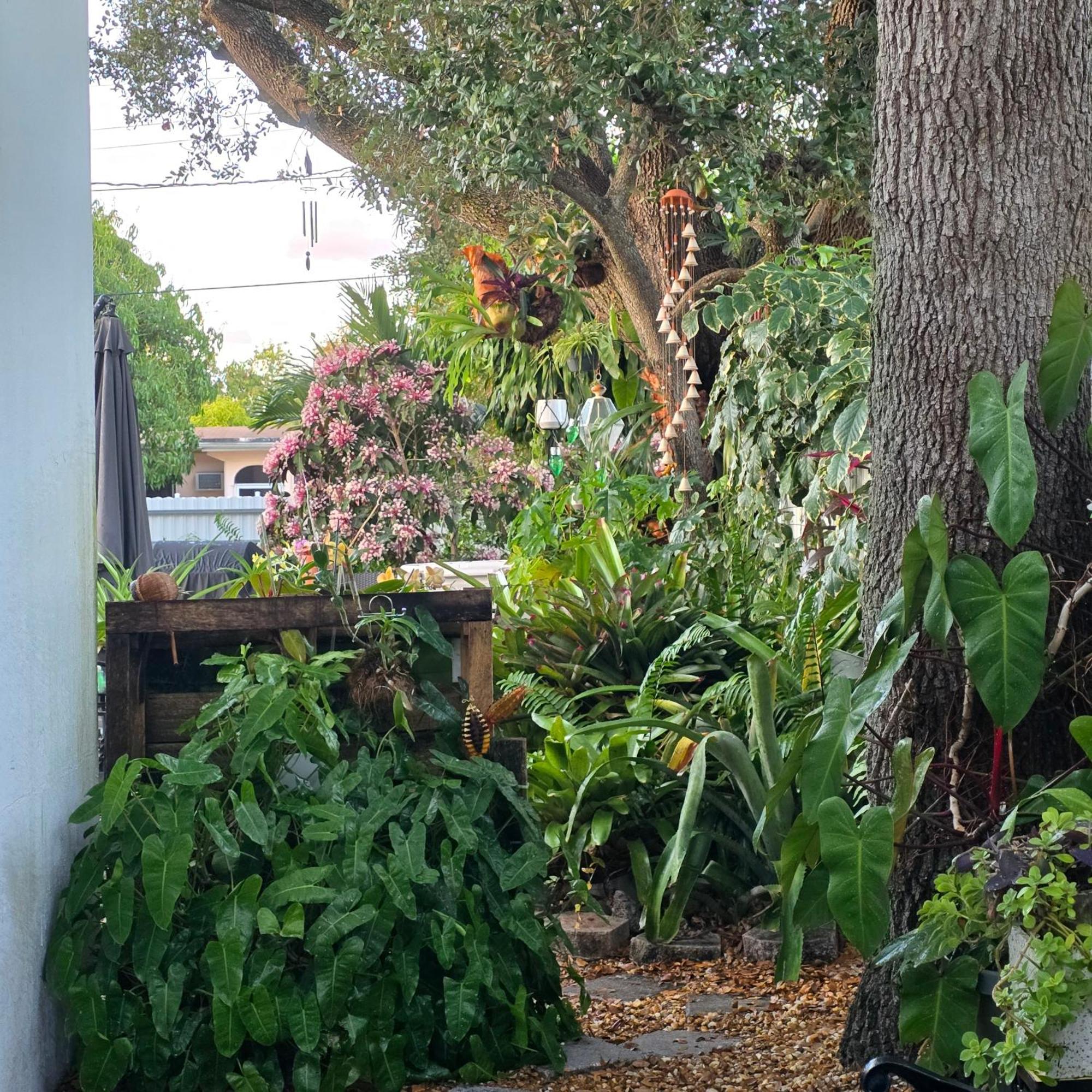 Suite Life At Chez Mercedes Miami Kültér fotó